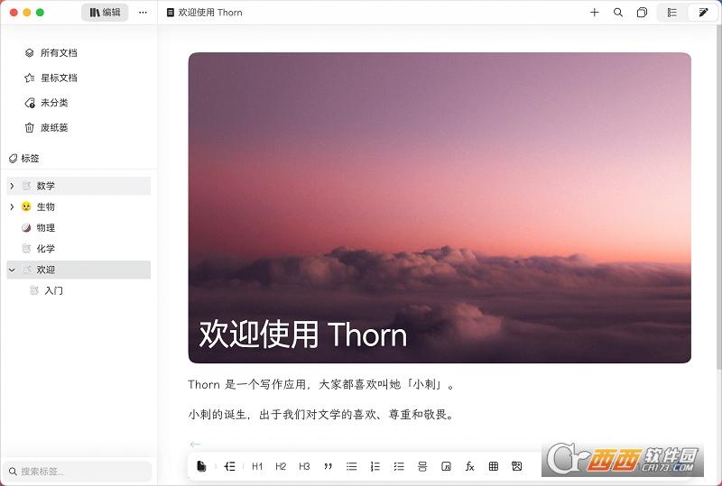 Thorn,写作,创作.